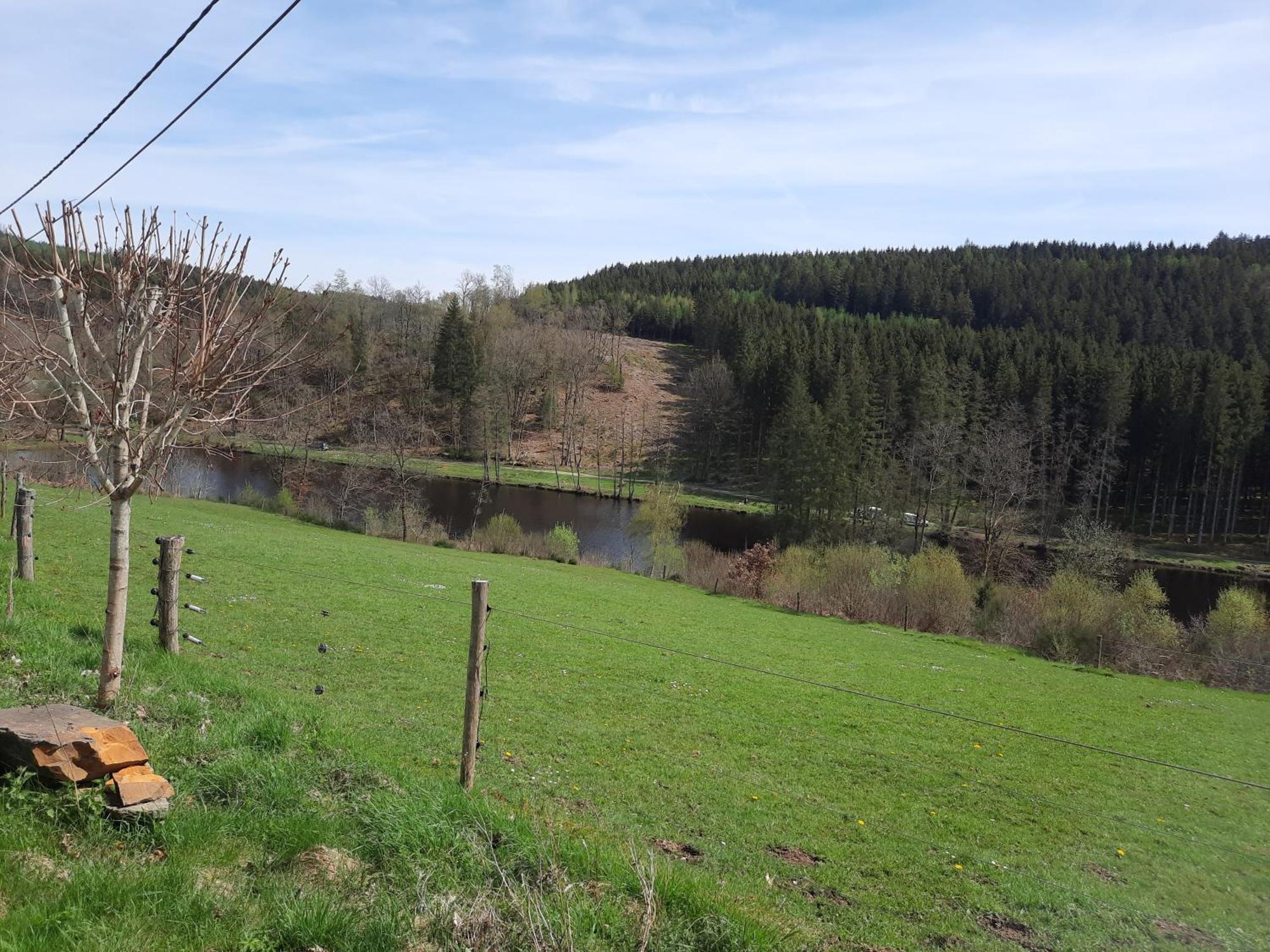 Koekoelavache Holiday Home Vielsalm Bagian luar foto